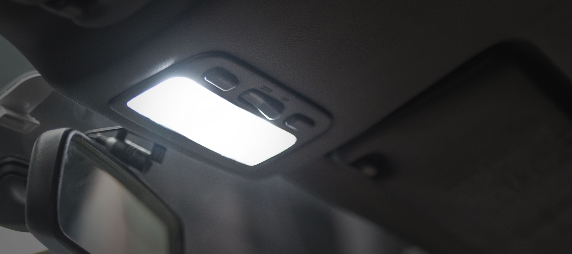 STEDI Festoon 31mm LED Bulbs